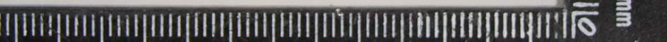 Wireless relay switch - FCC ID U2ZZW4005 - Sheenway Asia Ltd.