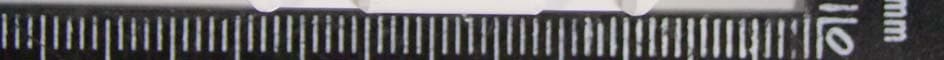 Wireless relay switch - FCC ID U2ZZW4005 - Sheenway Asia Ltd. (2)