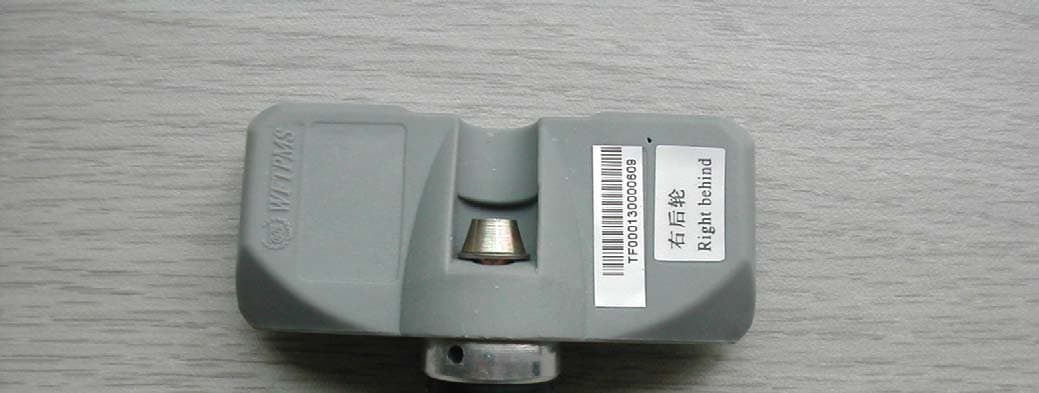 WFTPMS - FCC ID UB6TL040102 - Shanghai Well-lion Electronic Technology co.,Ltd (1)