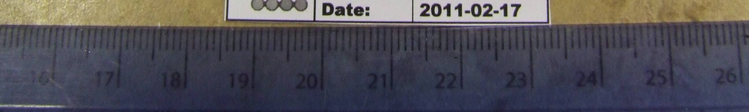 Q-DT8 (QD Drive Thru Headset) - FCC ID UDDQDT8 - Quail Ltd. (4)