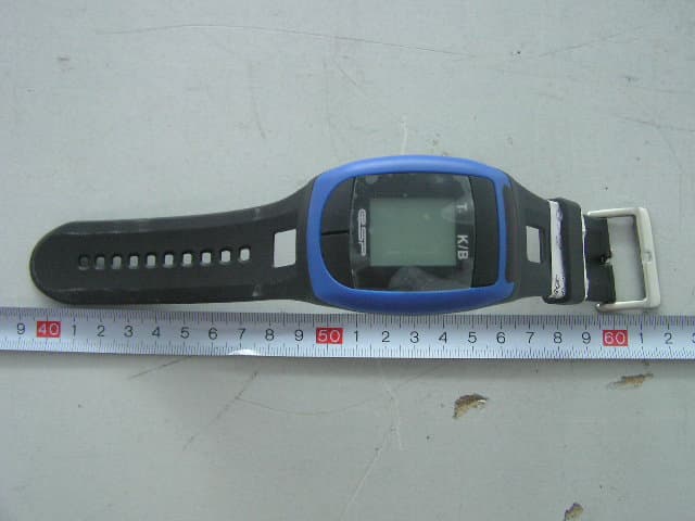 ESP Watch - FCC ID UGDWATCHG2 - ESP Systems, LLC
