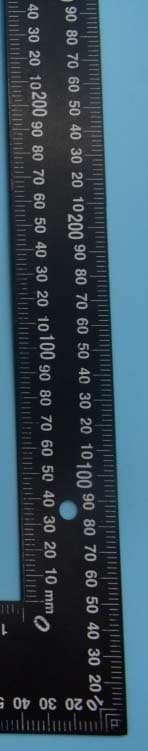 Smart Band (BT BLE) - FCC ID UR9WS-19017-2 - Winners'Sun Plastic & Electronic (Shenzhen) Co., Ltd. (2)