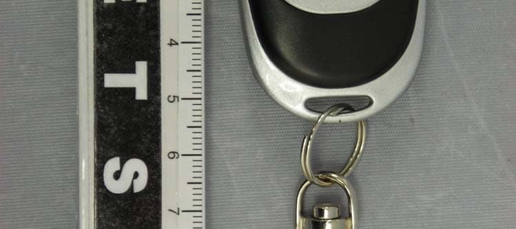 Hand transmitter: RAMSET I - FCC ID UXHRAMSET - Ramset Automatic Gate Systems Inc. (1)