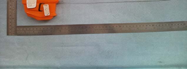 MOTOR MUSCLE (GTO/DAYTONA) TX - FCC ID V9Q-37050F27 - Toy State International Ltd.