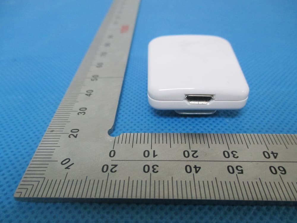 Bluetooth Pedometer - FCC ID VYVVTL-BP01 - Iton Technology Corp. (3)