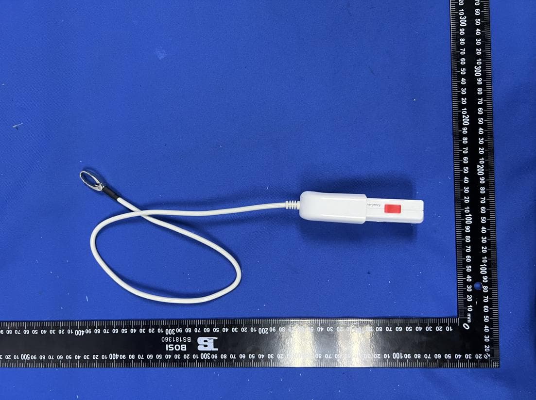 Wireless Handset - FCC ID WNG-NEC-05M - RONDISH CO. LTD (5)