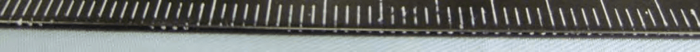 Lenovo Mobile Phone - FCC ID YCNA7010A48 - Lenovo Mobile Communication Technology Ltd. (4)