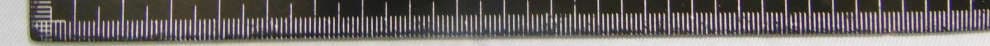 2G Flip phone - FCC ID YHLBLUDIVAFLX24 - BLU Products, Inc. (4)