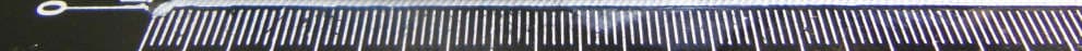 2G Flip phone - FCC ID YHLBLUDIVAFLX24 - BLU Products, Inc. (2)
