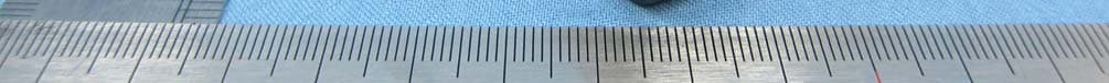 GSM Mobile Phone - FCC ID YHLBLUDJLITE - BLU Products, Inc. (3)