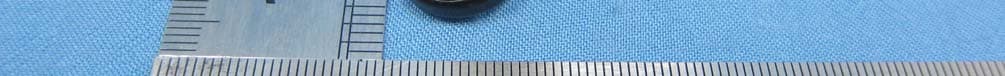 GSM Mobile Phone - FCC ID YHLBLUDJLITE - BLU Products, Inc. (2)