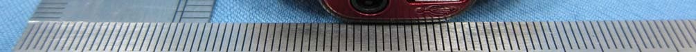 GSM Mobile Phone - FCC ID YHLBLUSPARK - BLU Products, Inc. (2)