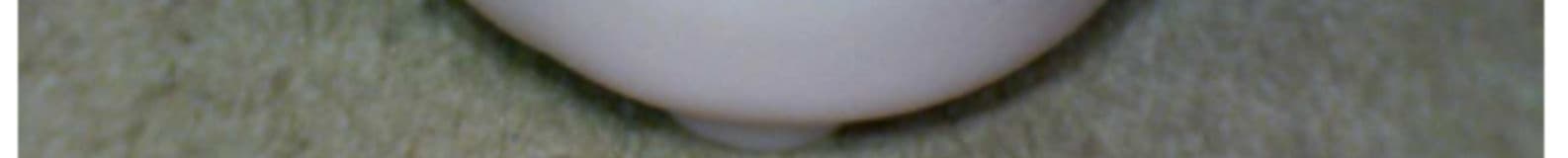 Hearing System - FCC ID YU2-EOXIST - audifon GmbH & Co KG (3)