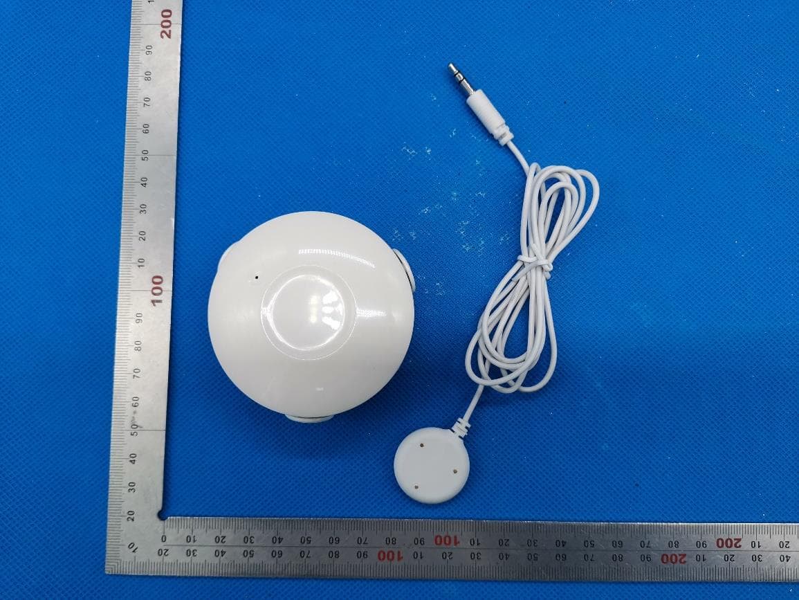 Z-Wave water sensor - FCC ID Z52NAS-WS02Z1U - SHENZHEN NEO ELECTRONICS CO.,LTD