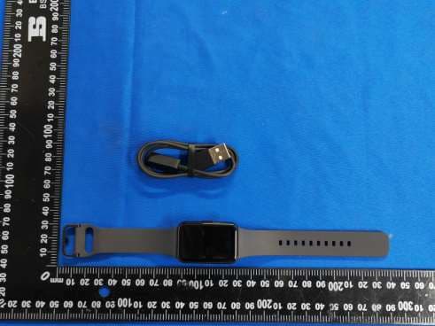Wearable Device - FCC ID ZCASMR390 - SAMSUNG Electronics Co., Ltd. (3)