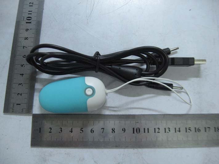 RECHARGEABLE EGG - FCC ID ZF566888RX - FUFI LIFESTYLE CO., LIMITED