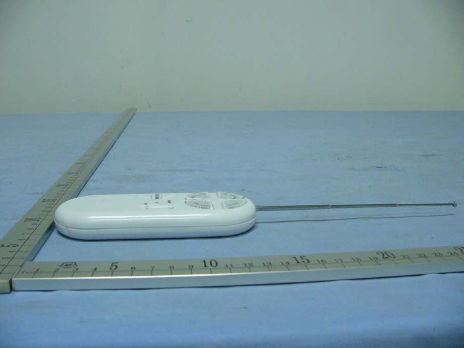 GEMMY OUTDOOR LIGHT SHOW TREE WIRELESS REMOTE - FCC ID ZGF82007 - ZAIXING ELECTRONIC (SHENZHEN) Co. LTD (4)