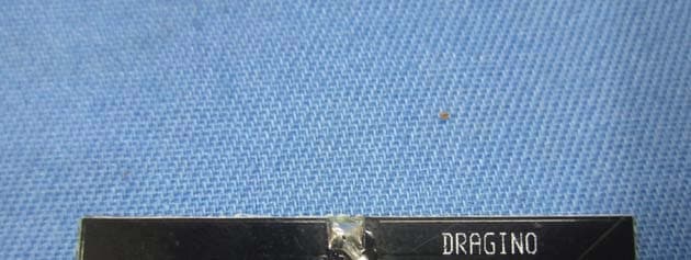 Wireless IoT Module - FCC ID ZHZHE - Dragino Technology Co., Limited. (5)