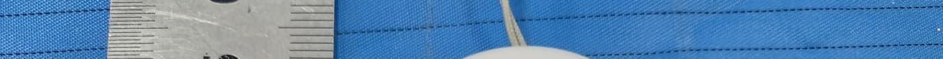 Pendant - FCC ID ZKQ-PED1GS - Micron Electronics LLC. (3)