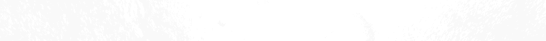 Cellular/PCS GSM Phone with WLAN, Bluetooth and RFID - FCC ID ZNFE460 - LG Electronics USA, Inc.