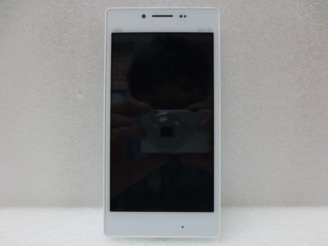 Cellular CDMA/WCDMA and PCS GSM/WCDMA Phone with WLAN, Bluteooth and RFID - FCC ID ZNFLGL21 - LG Electronics USA, Inc. (2)