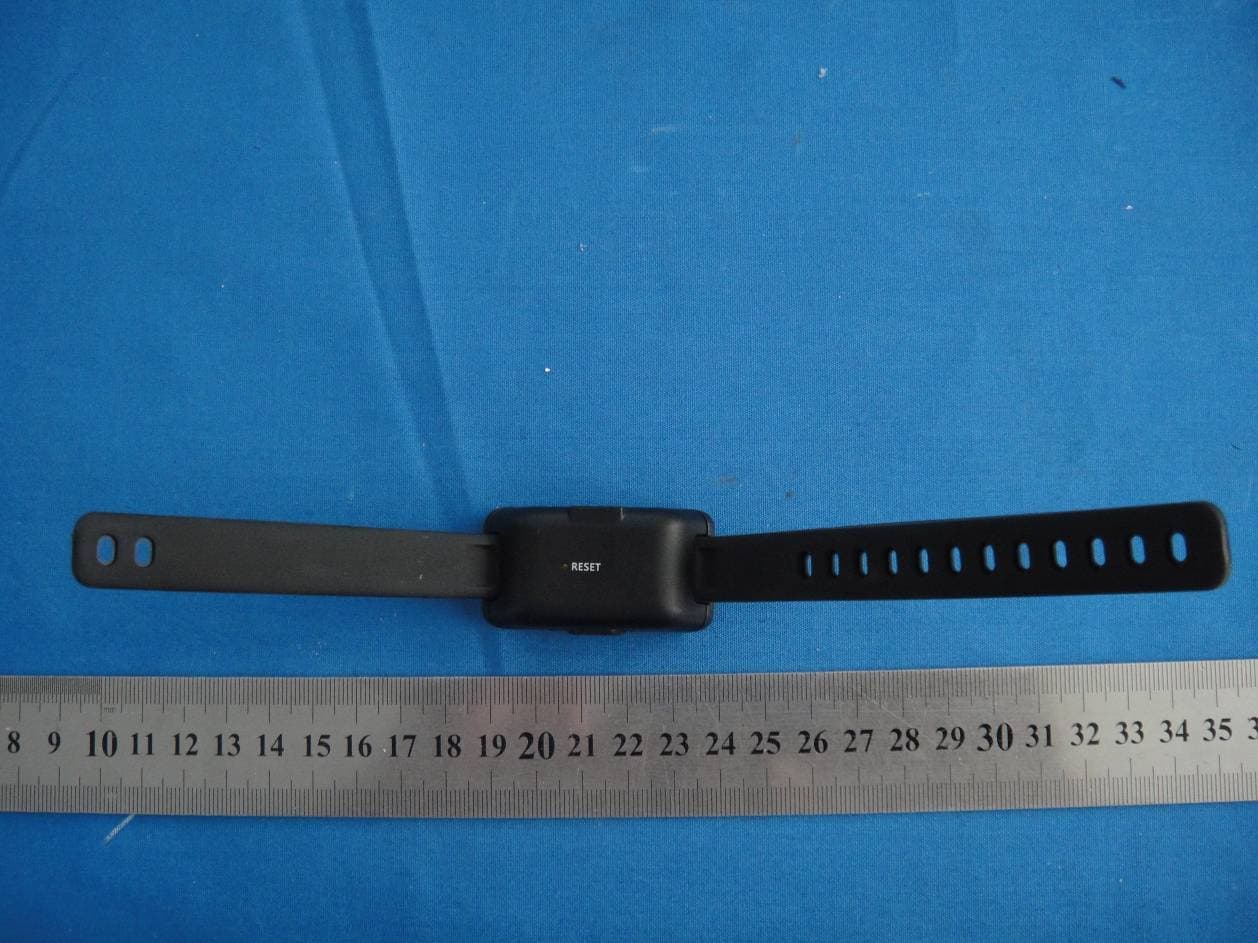 Wristband - FCC ID ZXO-BANDGM0001 - Striiv Inc. (1)