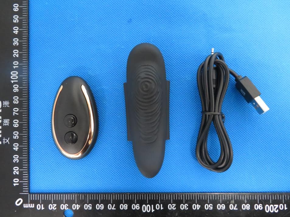 GoGasm Panty Vibrato - FCC ID 2A2W8-552330 - Orion Versand GmbH & Co.KG