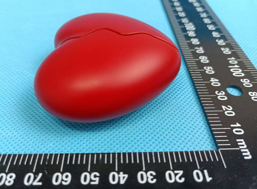 True wireless earbuds - FCC ID 2A64D-HEART001 - OVC Intelligence Technology Co., Ltd.