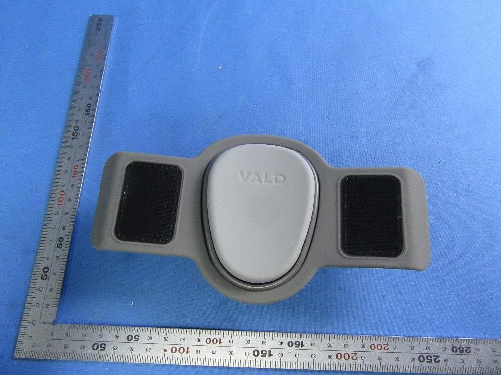 DynaMo - FCC ID 2A6SFDML - VALD Pty Ltd