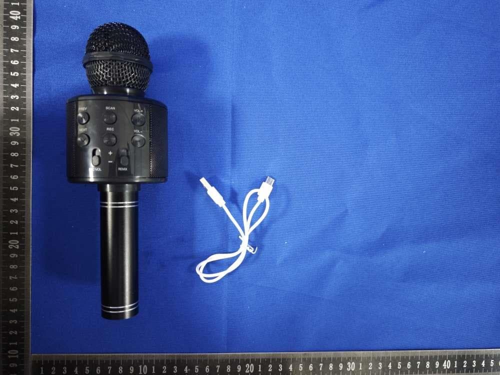 Karaoke Speaker - FCC ID 2A797-SP009-BKA - Haizhi(Dongguan) Technology Co.,Ltd