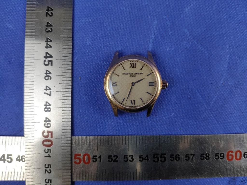 Smartwatch with BT module - FCC ID 2AD7G0009 - Frederique Constant