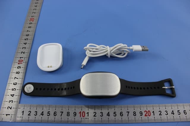 Gobe watch - FCC ID 2ADSYRF07HB1 - Healbe Corporation