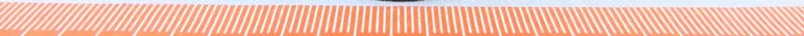 TRACK1100 - FCC ID 2AQYP-TRACK1100 - Sensolus NV