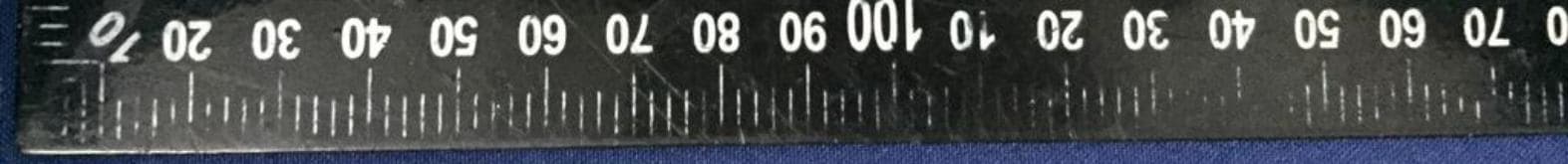 WHIS - FCC ID 2AUKHWHIS-02 - EQUITATION HOLDING B.V.