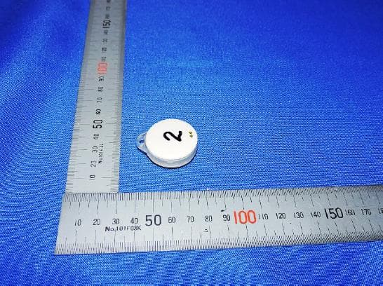 Bluetooth motion detector - FCC ID 2AUY5-T900 - Dongguan Jiasheng Enterprise Co., Ltd.