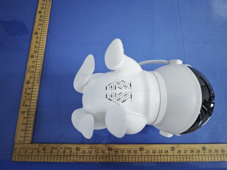 Space Dog Galaxy Projector - FCC ID 2AXGMBL-X02 - Shenzhen Bolong Technology Co., Ltd.