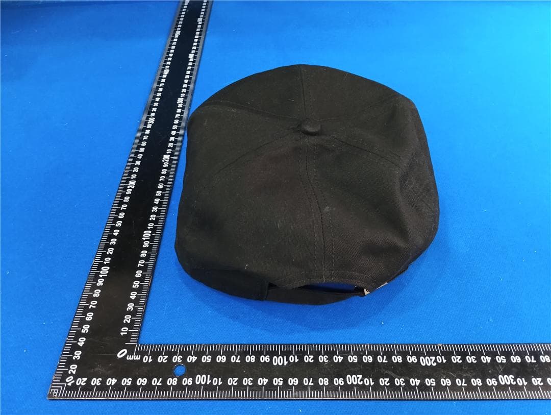 H1 - FCC ID 2AXND-H1 - Shenzhen Biosled Technology Co., Ltd
