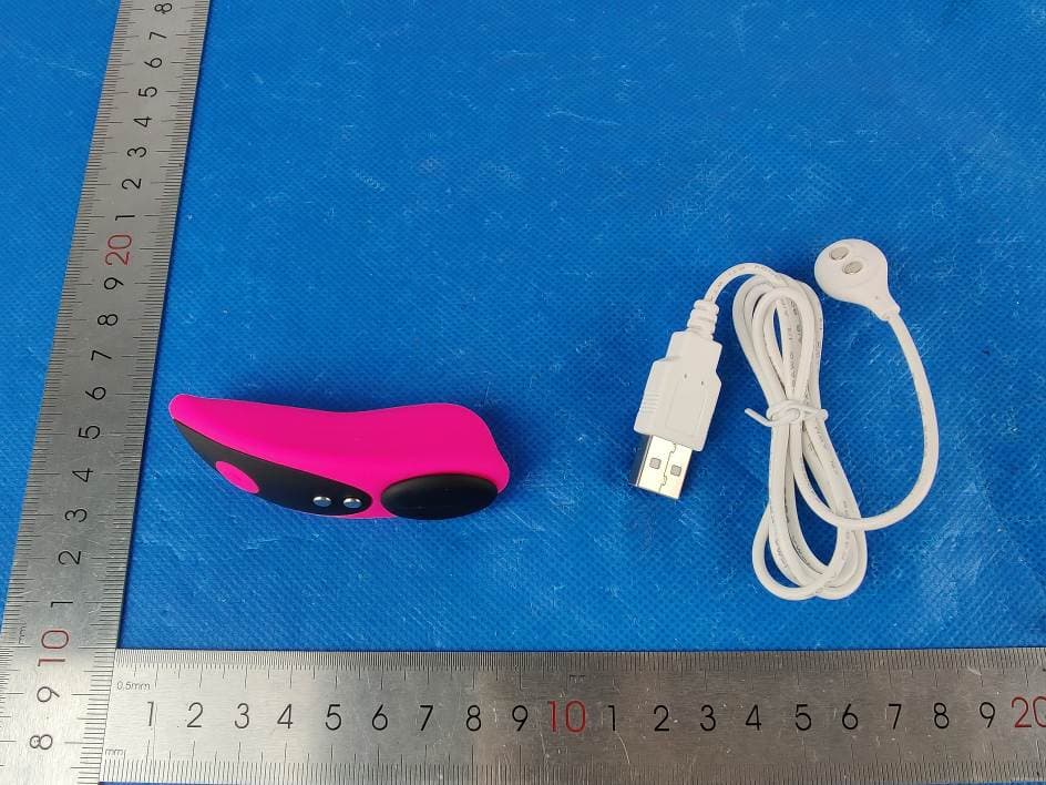 LOVENSE Ferri - FCC ID 2AXNT-FERRI - HYTTO PTE. LTD.