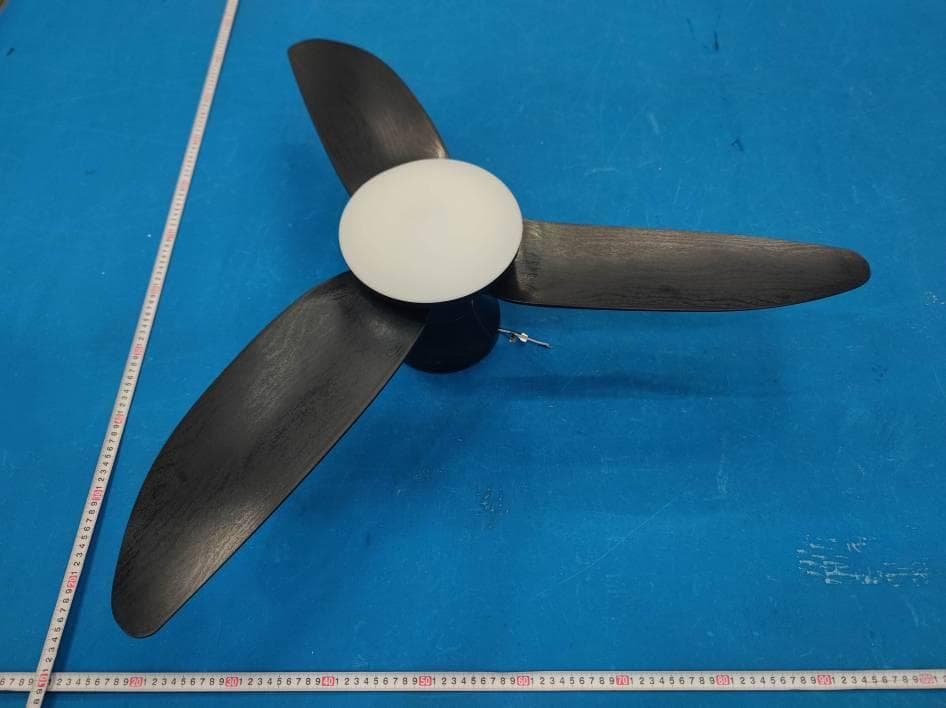 Fan lights - FCC ID 2BHMF-CLFSDD01 - Shenzhen Conglong Network Technology Co., Ltd.