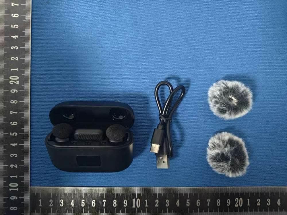 Wireless Microphone - FCC ID 2BLAE-S20 - Dongguan Bihai Electronic Technology Co., Ltd.