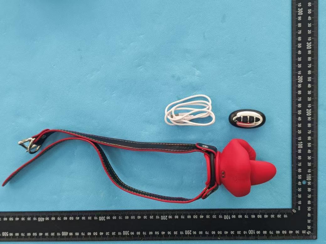 Flame - FCC ID 2BSX8-V233-180C - Dongguan City Youneng toy Co., LTD