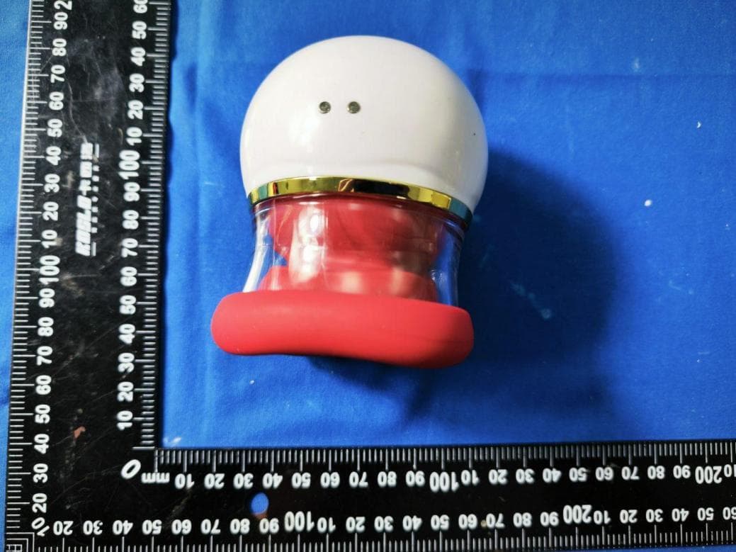 RED LIP DU CHUN - Export Version - FCC ID 2BTOO-LL10 - Dongguan Ai Yun Intelligent Technology Co., Ltd.