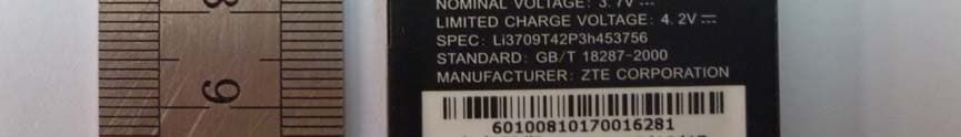 CDMA 1X Digital Mobile Phone - FCC ID Q78-ZTECS200 - ZTE Corporation