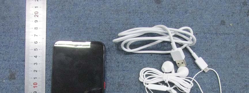 LTE/WCDMA/GSM(GPRS) Multi-Mode Digital Mobile Phone - FCC ID SRQ-BLADEA72020 - ZTE Corporation