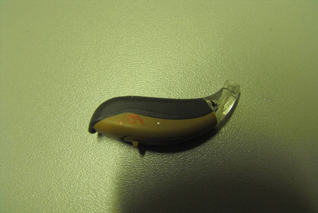 Wireless Hearing Instrument - FCC ID U6XF2BTE01 - Bernafon AG