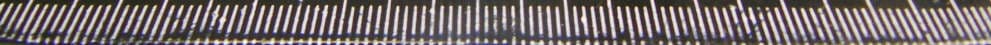 2G Flip phone - FCC ID YHLBLUDIVAFLX24 - BLU Products, Inc.