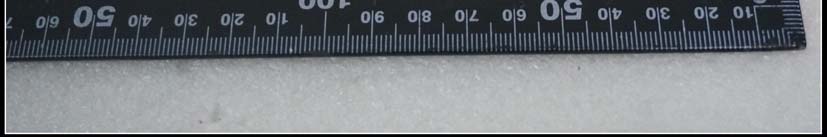 Product image for 2AC6R-WT2