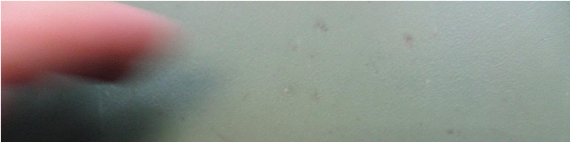 Product image for 2ADRQNXTBFVL3