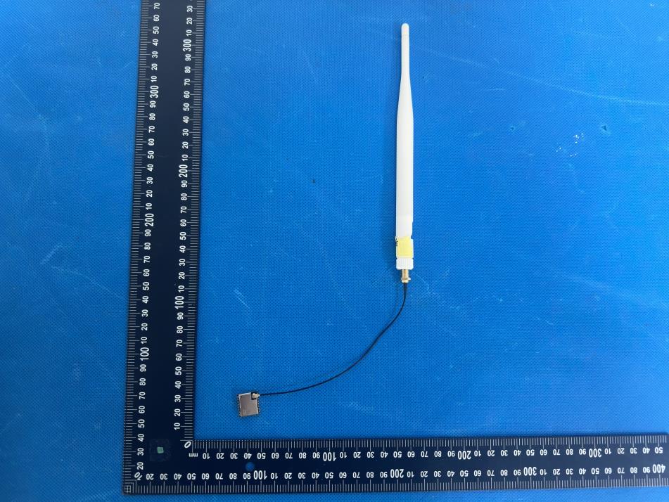 Product image for 2BDJ6-MS21SF1