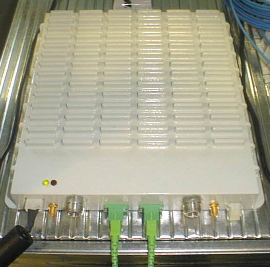 Product image for BCR-BCP-TFAM26